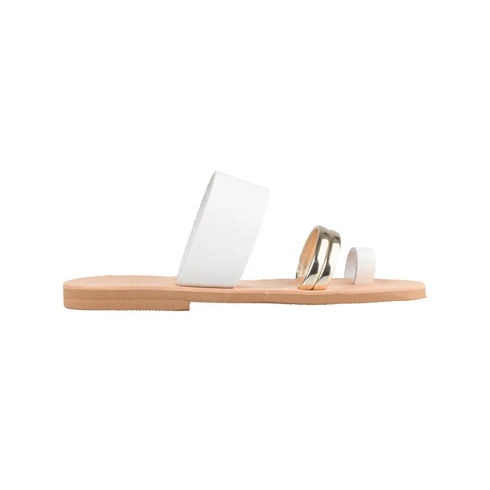 Elida-Chios || Gold