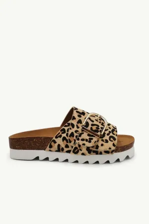 Logan Leopard