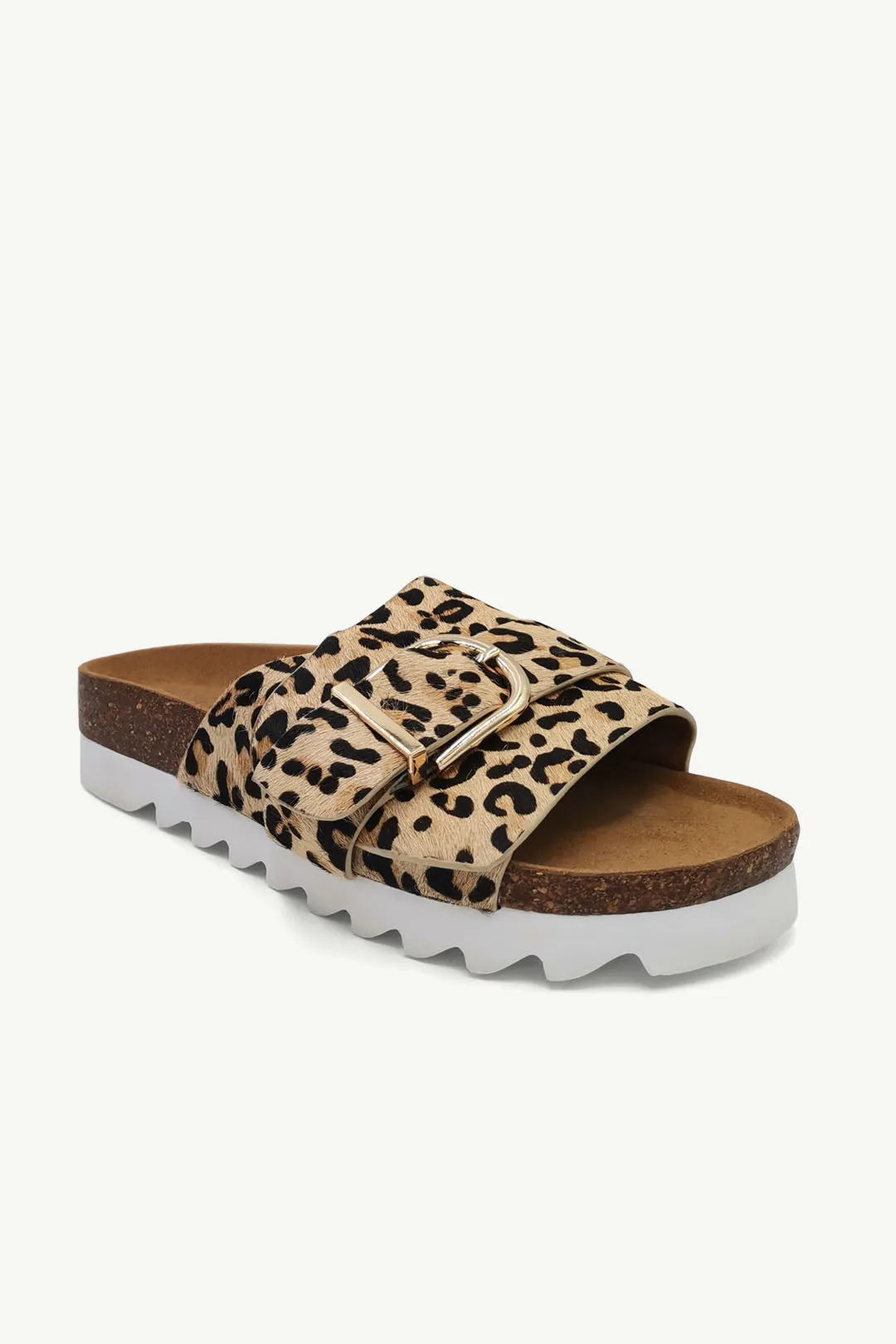 Logan Leopard