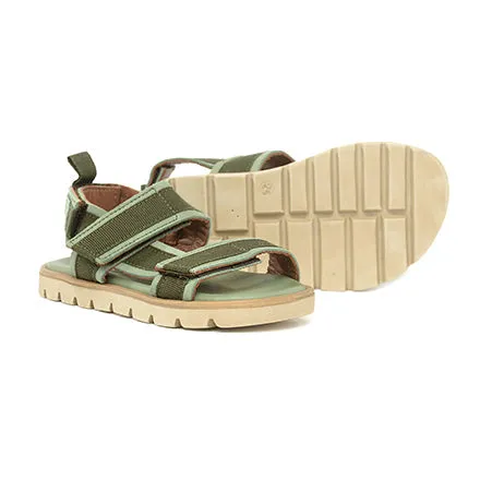 PèPè Summer Green